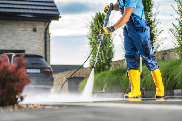 Best Driveway Pressure Washing  in Dripping Springs, TX